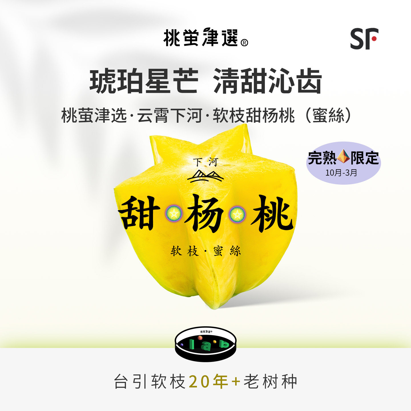 桃萤津选 下河软枝甜杨桃 台引蜜丝珍种 20年+老树果 礼盒装 SF
