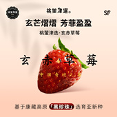 桃萤津选 礼盒 玄赤®草莓 凉山黑珍珠改良种 馥郁浆果型 稀