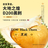 桃萤津选 黑刺D200榴莲 马来空运AA级老树鲜果 限 浮罗山背产