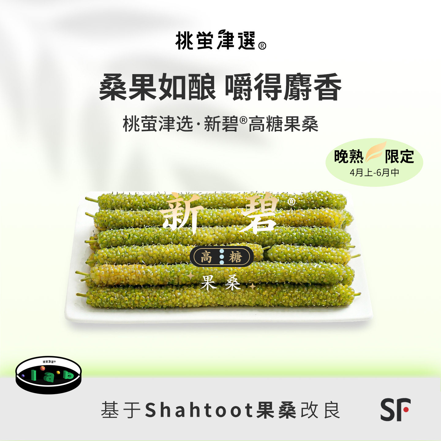 限！桃萤津选 新碧&reg;高糖果桑 麝香轻蜜 梦幻莓果新种 礼盒装 SF