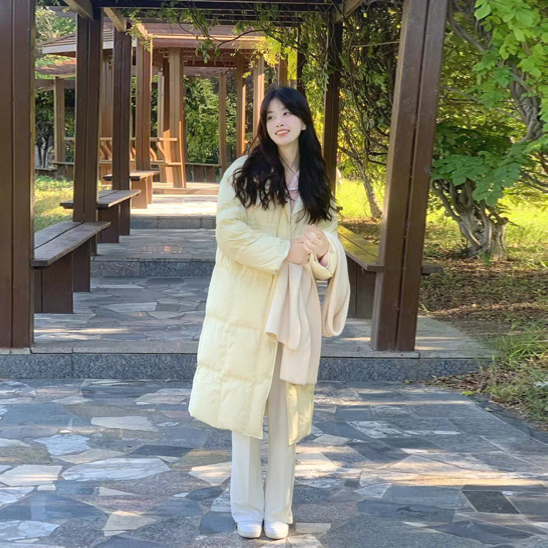 设计感小众保暖立领羽绒衣外套