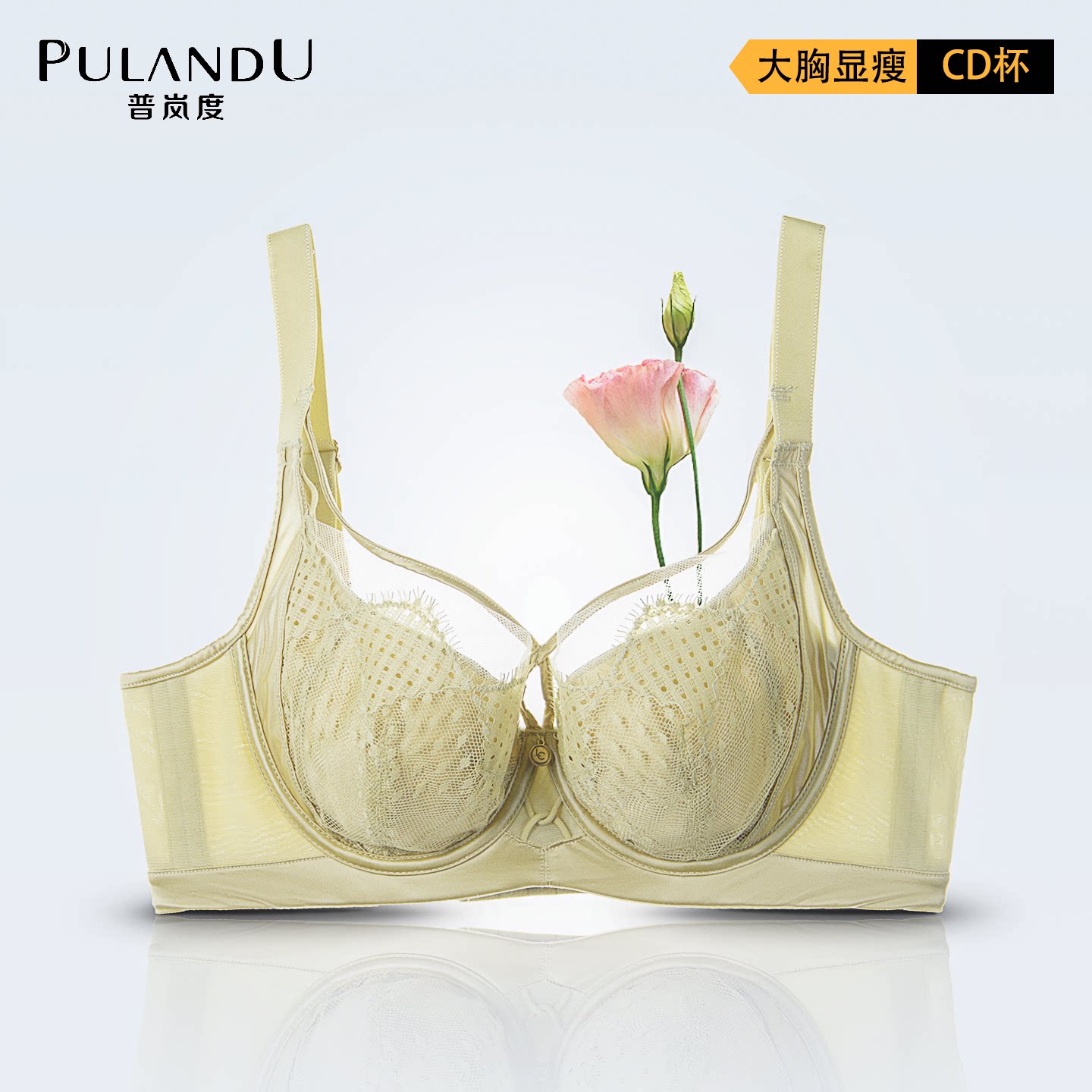 普岚度性感蕾丝内衣女薄款显胸小图片