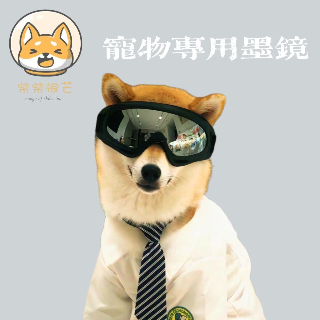 狗狗专用柴犬配饰中小型犬骑行墨镜防风防晒紫外线宠物眼镜