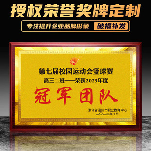 会员理事单位牌匾定制优秀合作伙伴商会协会副会长理事成员奖牌