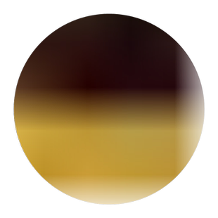 紫荆花树苗绿化苗盆栽带花苞耐旱耐寒庭院花卉苗木四季室外