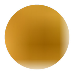 银杏树小苗大树庭院银杏树苗风景树景观树园林绿化植物行道南北方