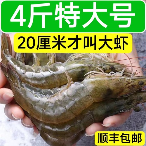 寰球邮鲜4斤青岛生冻大虾带料包