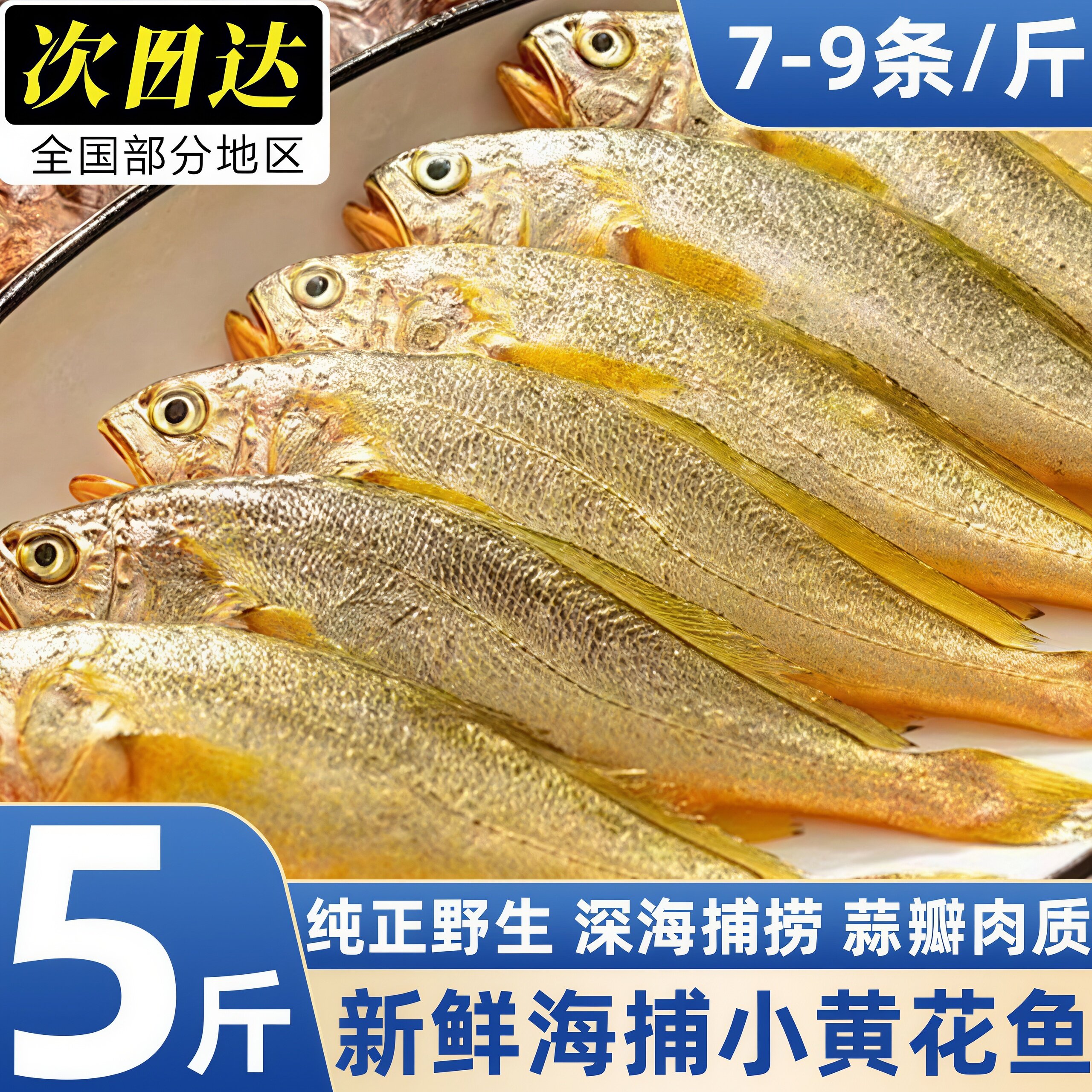当季新鲜冷冻小黄花鱼商用