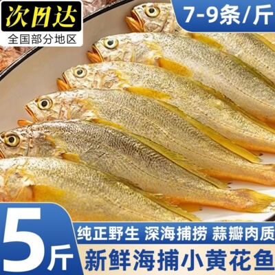 当季新鲜冷冻小黄花鱼商用