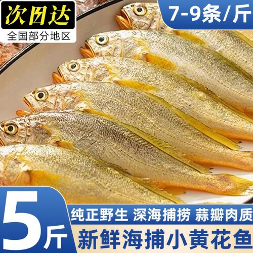 当季新鲜冷冻小黄花鱼商用