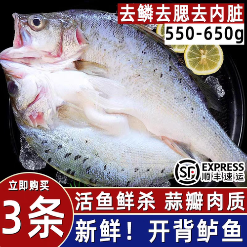 开背海鲈鱼去鳞去内脏