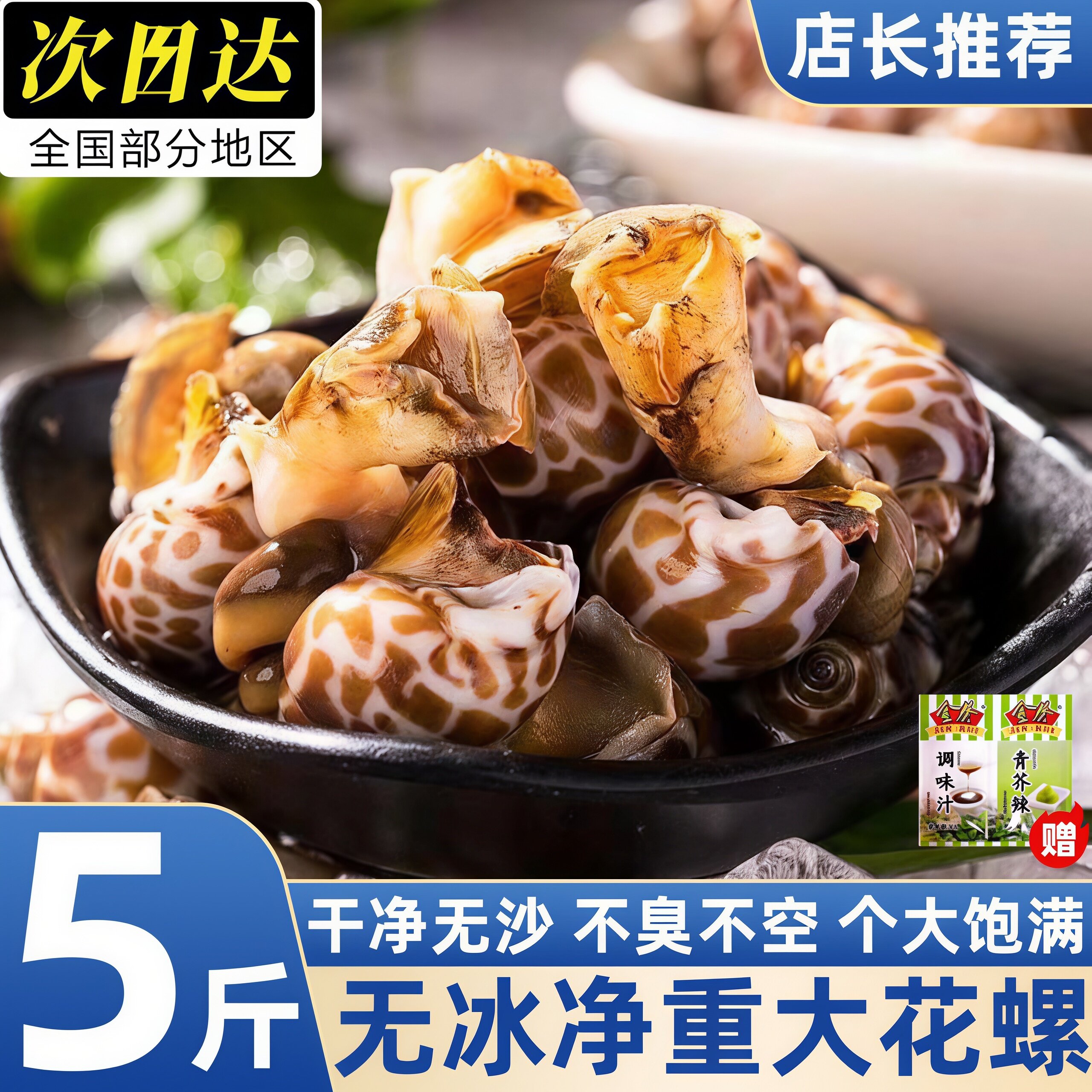广西北海鲜活特大花螺