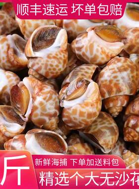 寰球邮鲜鲜活冷冻花螺干净无沙