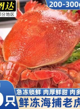 冷冻带黄虎头蟹顺丰包邮