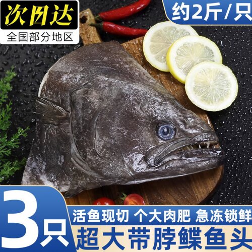 深海新鲜冷冻特大鲽鱼头批发