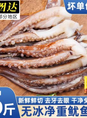 连云港冷冻鱿鱼须商用批发