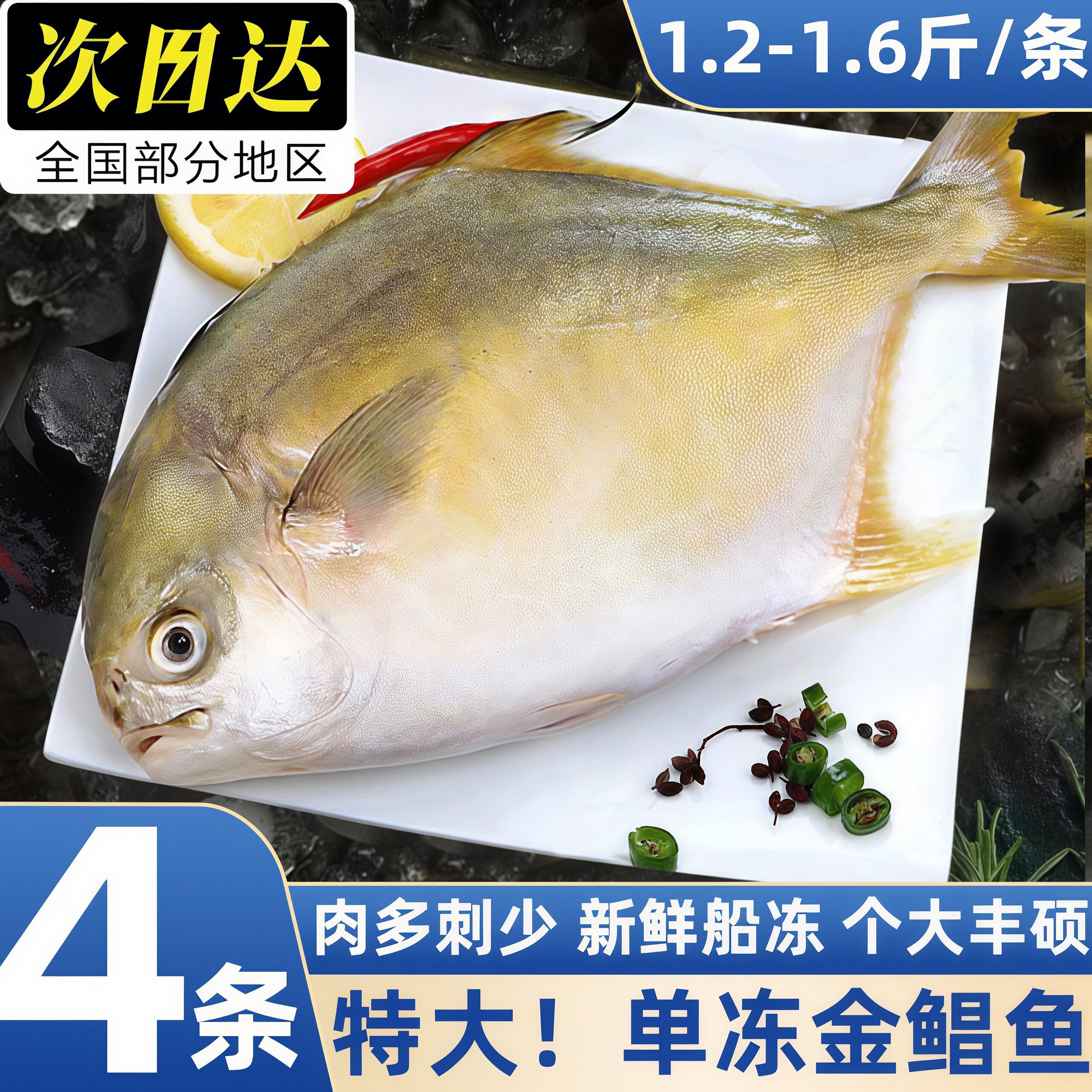 新鲜冷冻特大金鲳鱼海鱼包邮