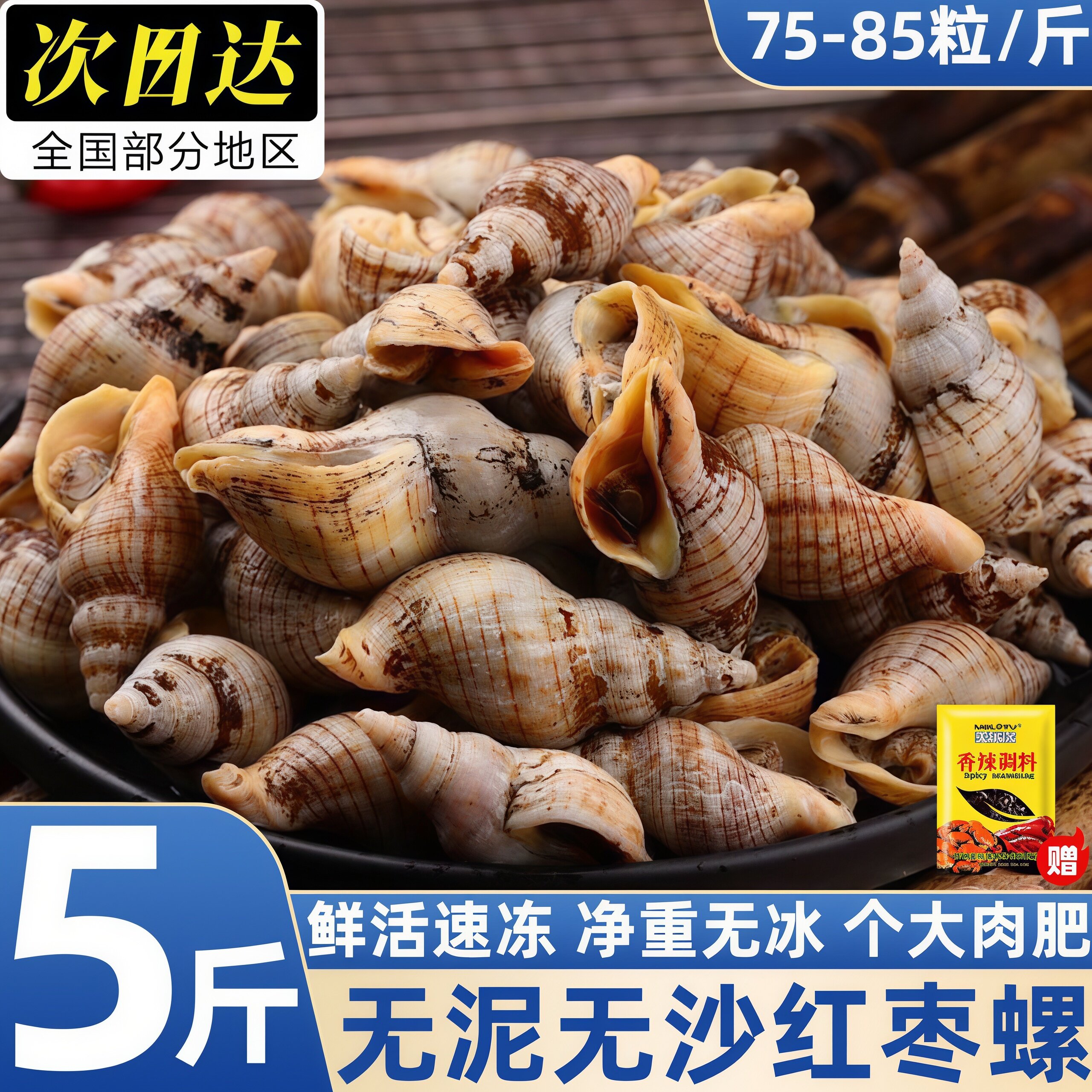 贝贝螺红枣螺白玉螺花螺小海螺丝海瓜子新鲜贝类海鲜水产商用批发