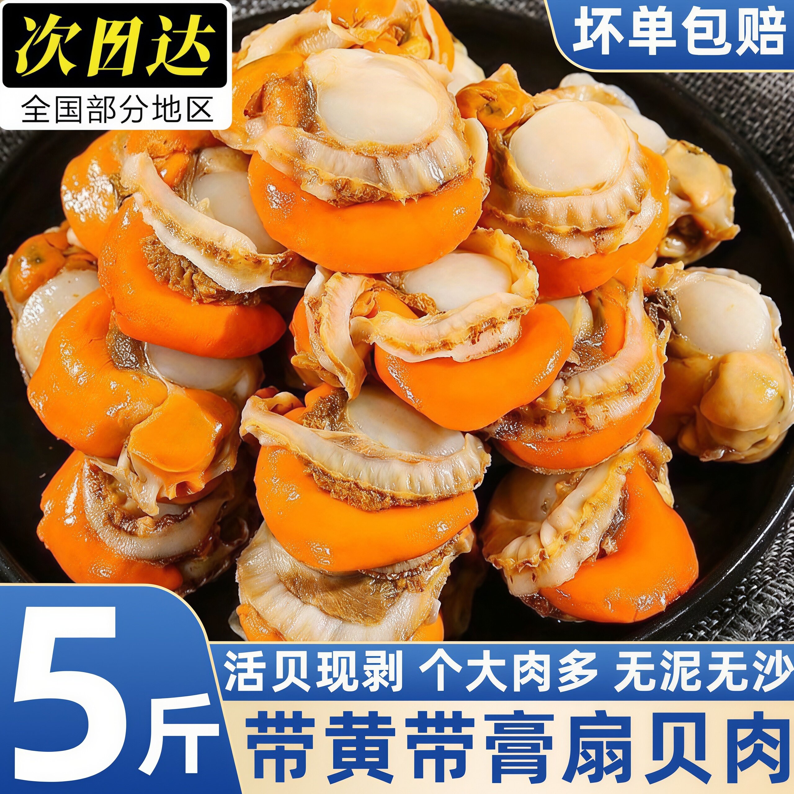 现剥特大野生海捕冷冻扇贝肉