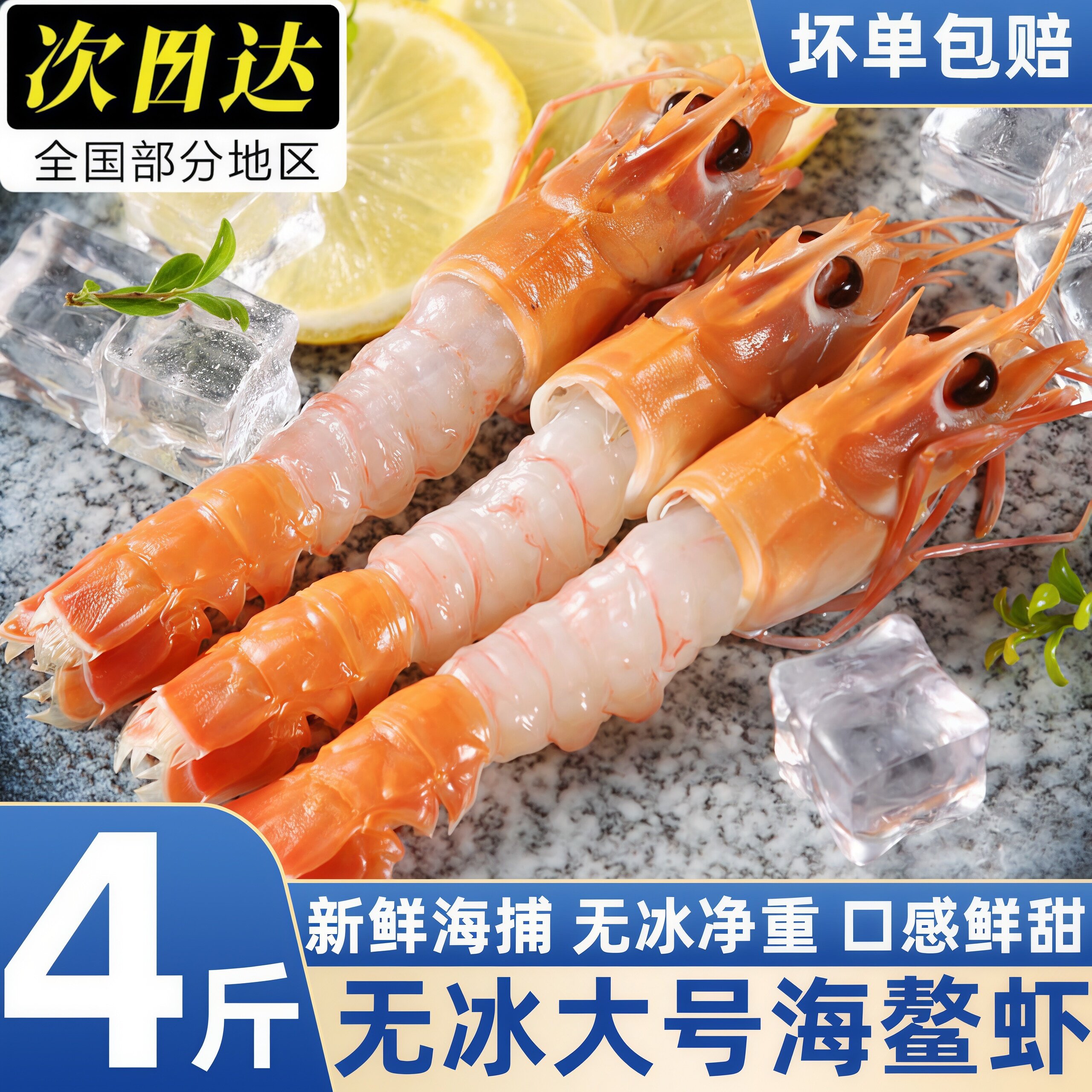 无冰新鲜大号海鳌虾国产海鲜