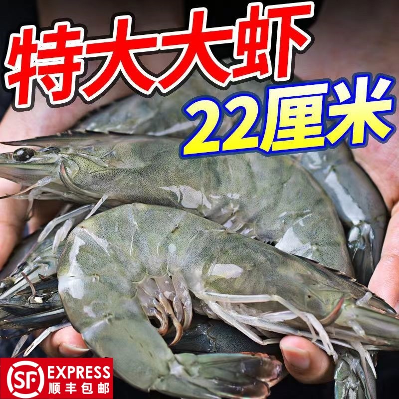 大虾鲜活冷冻大号盐冻虾新鲜速冻大号基围虾海虾对虾海鲜虾类水产,水产肉类/新鲜蔬果/熟食,冻虾,淘宝优惠券,粉丝福利购,淘宝优惠卷