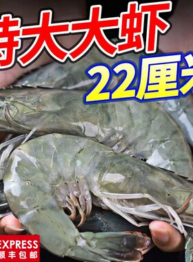 寰球邮鲜盐冻大虾带料包
