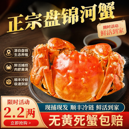 盘锦六月黄大闸蟹顺丰冷链包邮