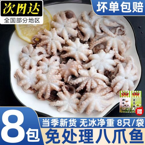 丹东冷冻爆头整只迷你大章鱼日料