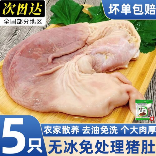 新鲜土猪肚商用顺丰包邮