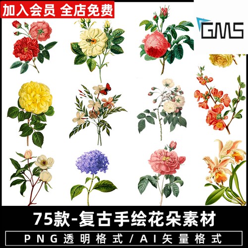 手绘鲜花菊花喇叭花玫瑰花朵白色黄色蓝紫520png免抠图片ps素材