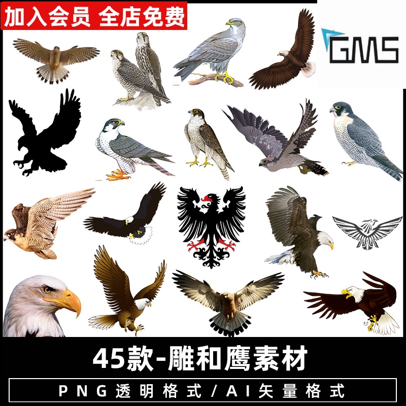 雕老鹰飞翔黑色剪影手绘雕鸟鹰头类ps图片背景png免抠免扣素材