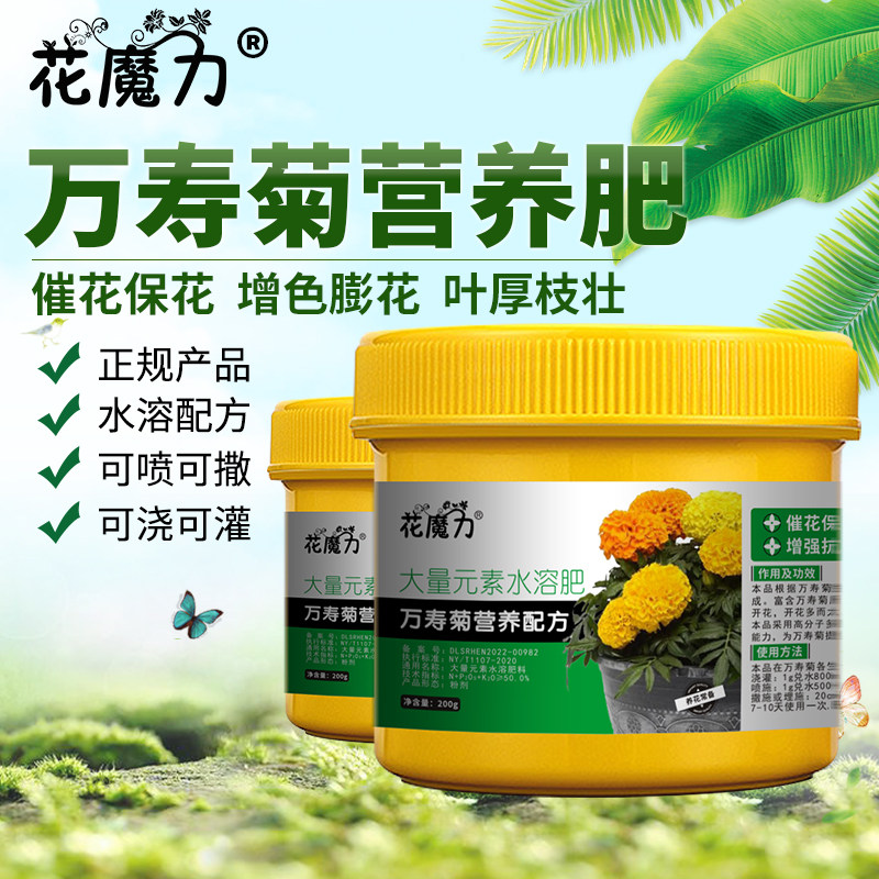万寿菊专用营养肥臭芙蓉万寿灯蜂窝菊长寿菊蝎子菊金菊地栽四季肥