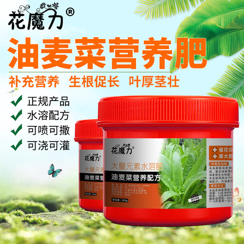 油麦菜专用营养肥莜麦菜菜盆景盆栽地栽庭院催长四季小菜园通用肥