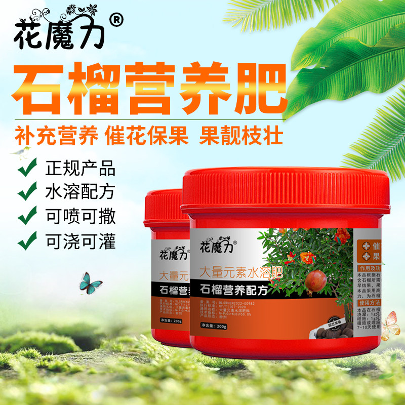 石榴花专用肥盆栽家庭阳台石榴树庭院软仔石榴苗树小型矮化盆景肥