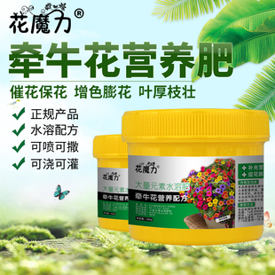 矮生牵牛花专用营养肥盆栽院栽阳台催花保花增色喇叭花四季家庭肥