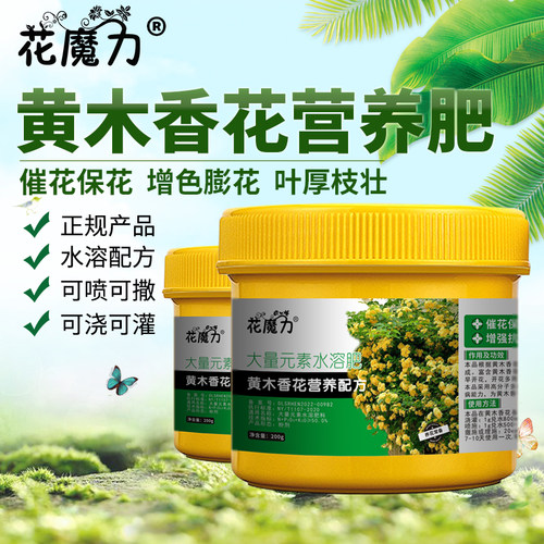 黄木香花专用营养肥盆栽院栽重瓣黄木香爬藤单瓣白木香四季养护肥