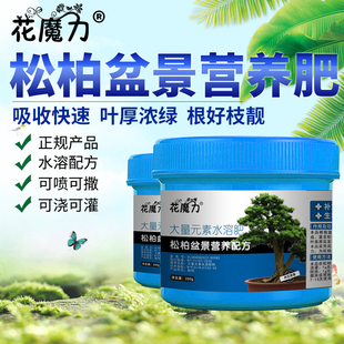 松柏盆栽专用营养肥迎客松微型盆景室内绿叶养根四季通用养护肥料