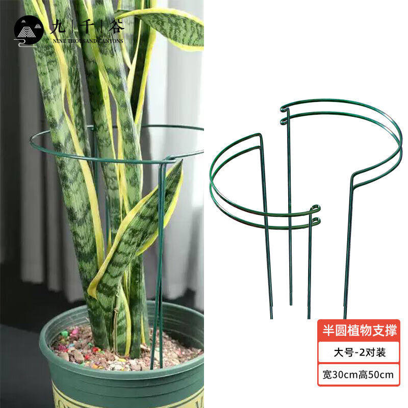 九千谷植物支撑架支撑支架园艺花架阳台爬藤护叶半圆30*50CM2对装高性价比高么？