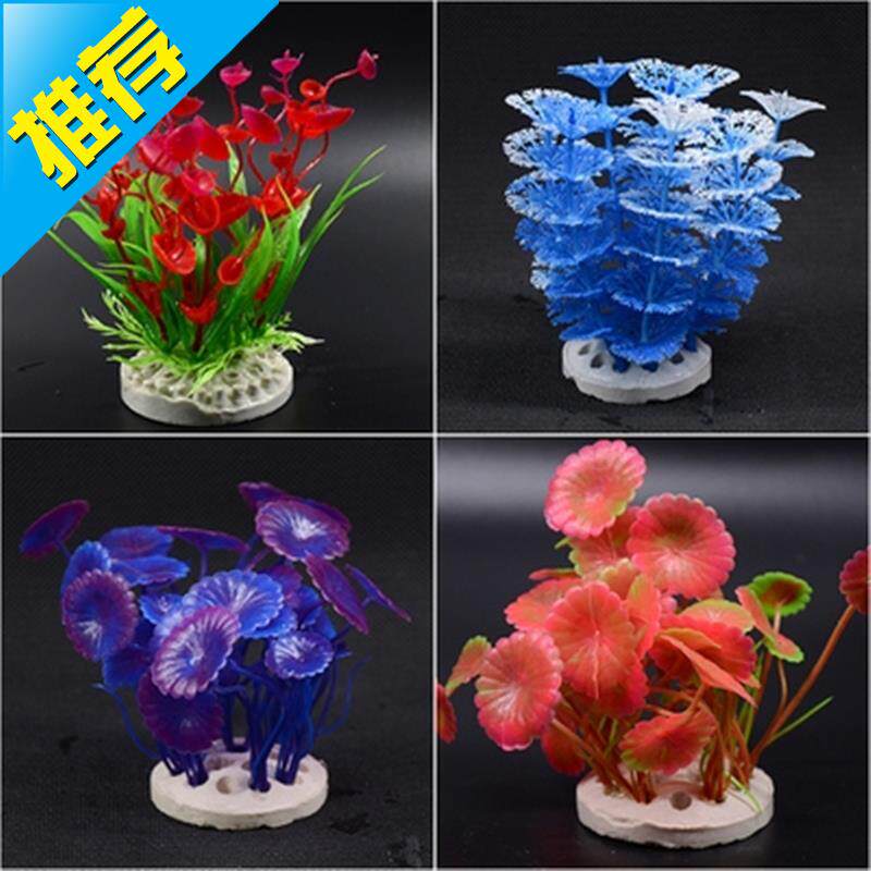 套装水草景造鱼缸素材模板 套装水草景造鱼缸图片下载 小麦优选