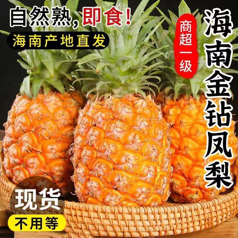 正宗海南金钻凤梨脆甜整箱包邮！