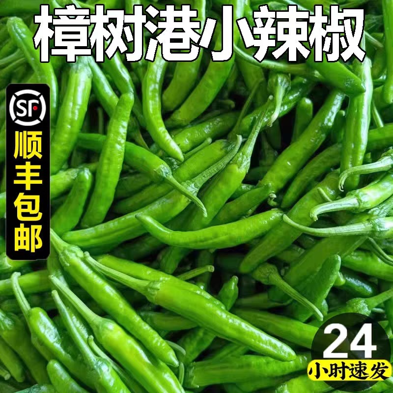 正宗湖南樟树港新鲜小辣椒新鲜富晒现摘食用薄皮嫩青线椒农产生鲜