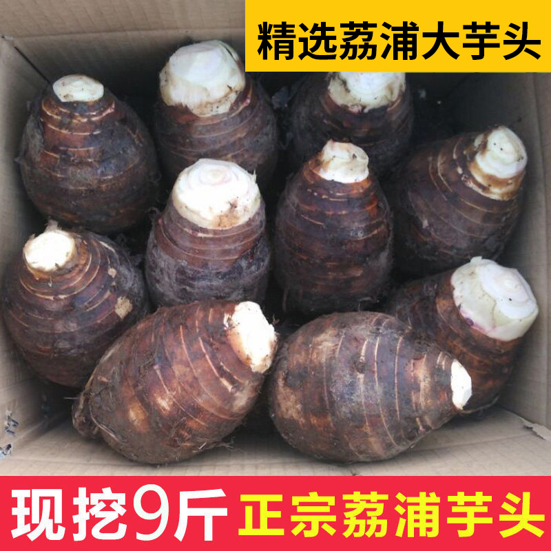 广西荔浦新鲜大芋头9斤包邮正宗现挖粉香芋槟榔芋艿紫藤毛芋5整箱