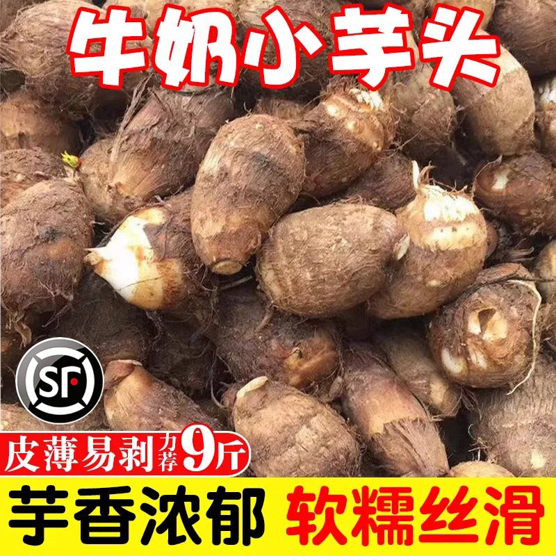山东牛奶小芋头9斤新鲜蔬菜商用槟榔芋头香芋毛芋头芋艿农家自种1