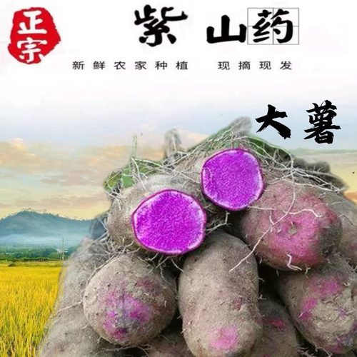 赣南新鲜紫山药现挖现发整箱包邮