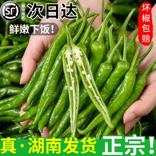 顺丰冷链速发丨新鲜现摘整箱30斤