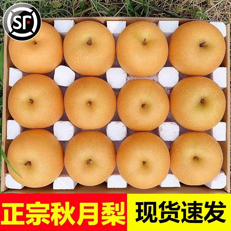 秋月梨鲜甜多汁留香四溢
