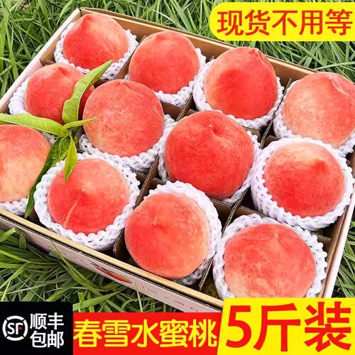 水蜜桃5斤新鲜水果顺丰整箱