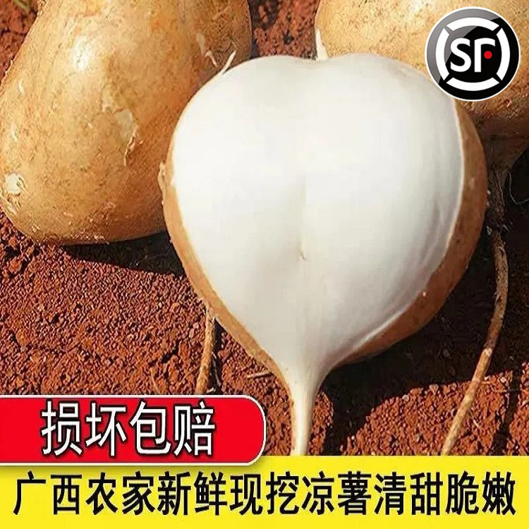 广西新鲜凉薯9斤时令蔬菜土地瓜现挖白地瓜包邮豆薯农家地薯番薯