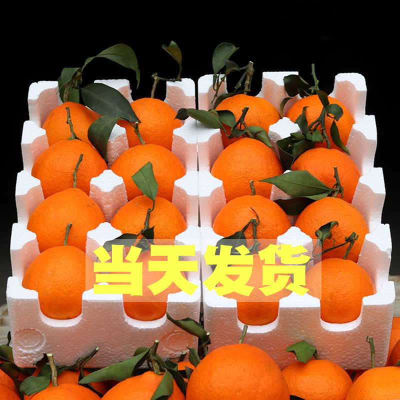 爱媛四川眉山橙子9斤新鲜当季果