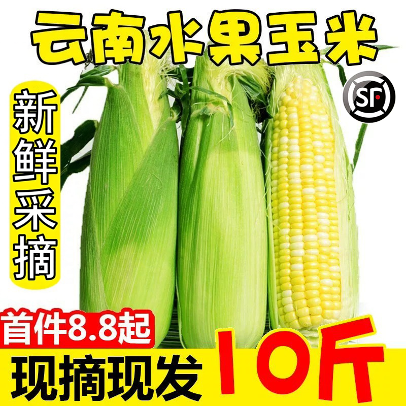 云南金银水果玉米10斤蔬菜生吃